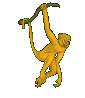 Animierter Affe schaukelt an einem Ast animierte Affen GIFs