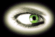  Rechtes Auge mit grüner Pupille guckt Augen .gif Bilder
