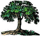   animierte gifs Bäume