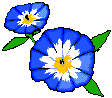 Blume mit blauen Blüten - Animierte GIFs funny gifs Blumen download kostenlos