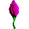 Aufblühende lila Blume - Blumen-AniGIFS Blumen whatsapp gifs