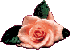 Rosa Rose - Blumen Cliparts Blumen GIFs download