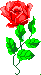 Rose - Blumen Animationen whatsapp images Blumen animierte gifs