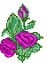   Blumen GIFs download