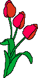   animierte Blumen GIFs