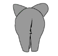  animierte Elefanten GIFs
