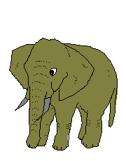   Elefanten animated gifs