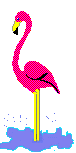Flamingos - lustige animierte gifs und Animationen