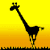   Giraffen fun gifs kostenlos
