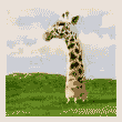   animierte Giraffen GIFs