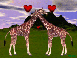 Giraffen - lustige animierte gifs und Animationen