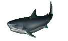  animierte Haifische GIFs