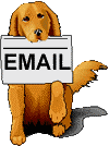 Süßer brauner Mischlingshund hält ein Schild - Hunde-GIFs funny gifs Hunde download kostenlos