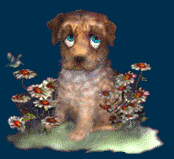 Süßer Hund - lustige und süße animiertes Hundegif aniGIFs & bewegte Bilder