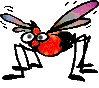 Insekten - lustige animierte gifs und Animationen