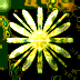   Kaleidoskope GIFs download