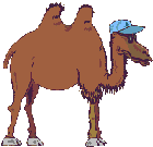 Kamele - lustige animierte gifs und Animationen