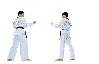   animierte gifs Karate