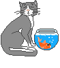 Grau-weißer Kater spielt mit einem Goldfisch im Goldfischglas - Bewegte Katzen Bilder Katzen gifs herunterladen
