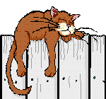 Fauler brauner grimmiger Kater hängt auf einem Gartenzaun ab - lustige animierte Katzen GIFs animierte Katzen GIFs