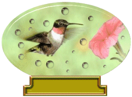 Kolibris - lustige animierte gifs und Animationen