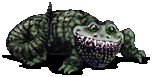   funny GIF animations Krokodile