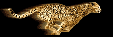 Leoparden - lustige animierte gifs und Animationen