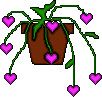 Topfpflanze mit roten Liebesherzen Liebe GIFs