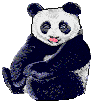 süßer Pandabär freut sich funny gifs Panda Bären download kostenlos
