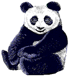 Animation - Pandabär zeigt seine Zunge Panda Bären gratis GIFS