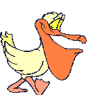 Pelikane - lustige animierte gifs und Animationen