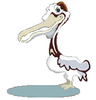 Pelikane - lustige animierte gifs und Animationen