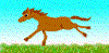 Pferde - lustige animierte gifs und Animationen