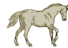   animierte gifs Pferde