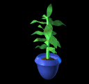   animierte Pflanzen GIFs