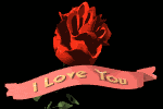 I Love you - animierter Text und Rose - animierte Bilder & Grafiken Rosen animated gifs