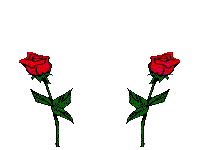 Zwei verliebte rote Rosen mit roten Herzen - GIF Animation anigifs kostenlose Animationen