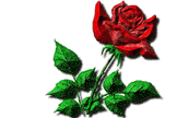 Love you Schriftzug und rote Rose - animated Rosen gifs herunterladen