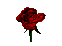 3D Animation - rote Rose download funny Rosen gifs