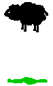 schwarzes Schaf springt und hüpft - animierte witzige Schafe-GIFs download funny Schafe gifs