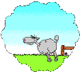 Schaf springt über Zäune - Einschlafhilfe (Schafchen zählen) - .gifs Schafe GIFs download