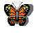 Schmetterlinge - lustige animierte gifs und Animationen