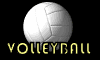   funny GIF animations Volleyball